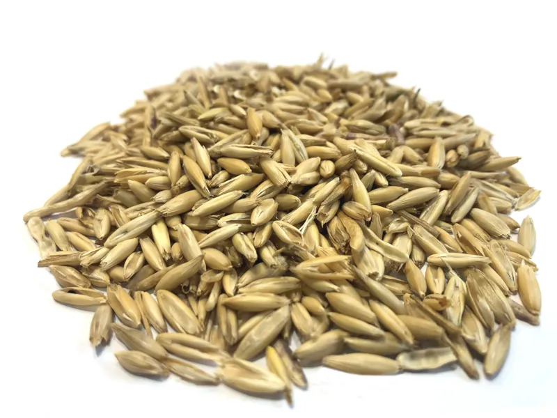 Thunderbrook Whole Organic Seed Oats-1